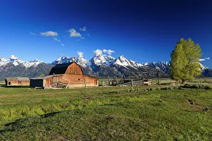 Tetons: Wooden Barn - at John Moulton Homestead in June