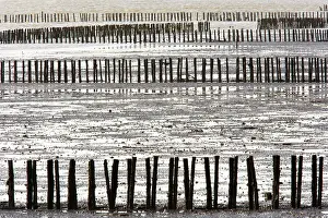 Breakwaters: Wooden Breakwaters