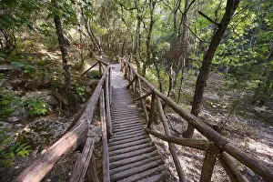 Bridge: Wooden bridge leads through a quiet