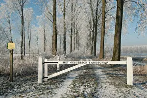 Geldersch: Wooden fence across a lane bordered by trees in winter