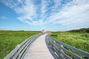 Plank: Wooden footbridge on dune trail, Greenwich Dunes