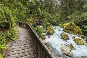 Fiordland: Wooden footbridge at Marian Falls, road to Lake