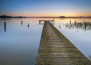 Wooden: Wooden footbridge and swan at sunrise on Lake Schaalsee