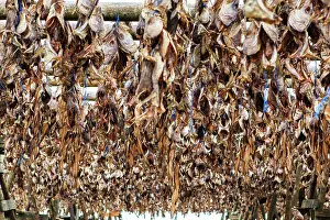 Rack: Wooden frame, dried fish, dried fish, fish heads