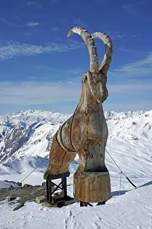 Skiing: Wooden ibex figure, work of art, snow-capped mountains