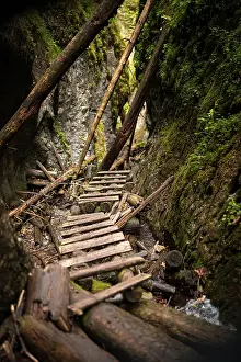 Paradise: Wooden ladders over the stream in the gorges of