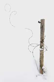 Barbed: Wooden pole with barbed wire in a meadow covered