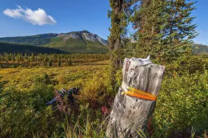 Mining: A wooden post marking a corner of a mineral claim staked in northern British Columbia