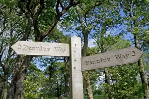 Signpost: Wooden signpost