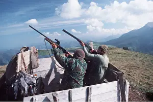 Carcass: WOODPIGEON SHOOTING