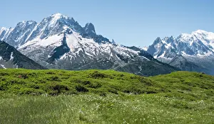Sedge: Woolgrass at Aiguillette de Poisettes, left Aiguille