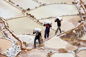 Workers: Workers carry salt bags through salt garden, salt