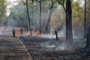 Fires: Workers creating fire break along road
