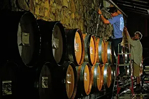 Barrels: Workers - Making Chardonnay Cullen Winery