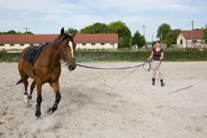 Ropes: Working with a horse runs in France