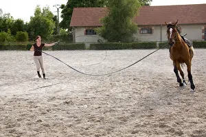 Ropes: Working with a horse runs in France