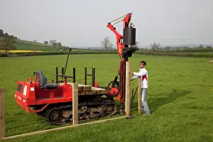 Fencing: Workman driving timber posts into ground