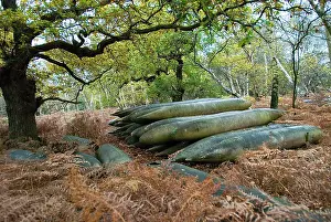 Tanks: World War II fuel tanks - abandoned