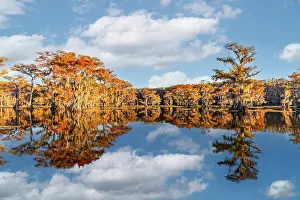 Idyllic: Worlds largest cypress swamp and calm water reflecting blue