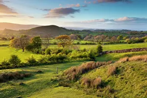 300817: Worston Moor - Evening - Lancashire - UK
