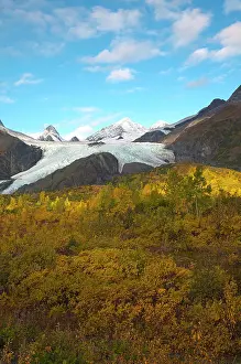 Worthington: Worthington Glacier in autumn colors, Alaska