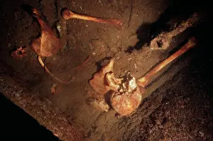 Wrecks: Wreck - Bones on Japanese war wreck
