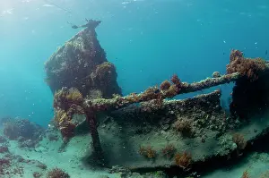 Wreck: Wreck - Japanese Wreck dive site, Amed, Bali, Indonesia