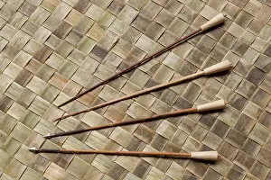 Arrow: WWF-Indonesia