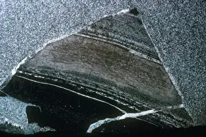 Intrusive: Xenolith