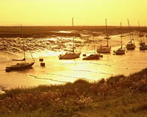 Yachts: Yachts in mudflats - at sunset