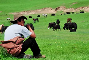 Tibet: The yak provides whool, meat and milk to the tibetans