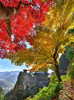 Acer: Yamadera temple in autumn at yamada ken, Japan