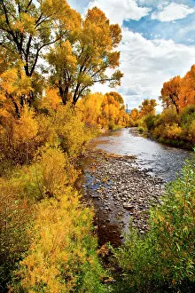 Current: Yampa River in autumn