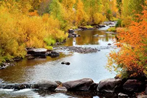 Cool: Yampa River in autumn