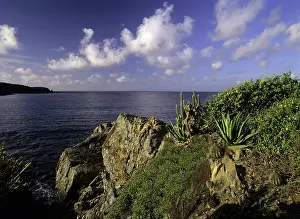 Jerry: Yawzi Point overlooking Lameshur Bay on