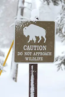 Caution: Yellowstone National Park - Caution Sign - in snow