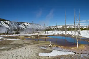 Lamar: Yellowstone National Park - geyser of the Black