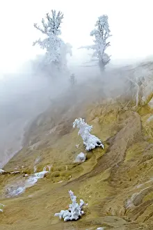 Palette: Yellowstone National Park - Palette spring - Mammoth