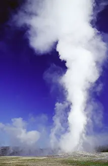 Spouting: Yellowstone's Old Faithful Geyser