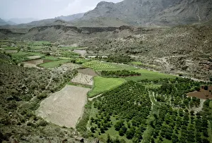 Yemen: Yemen - Agriculture