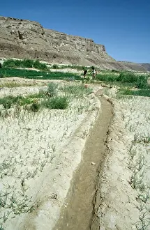 Yemen: YEMEN - Agriculture. Irrigation, showing water channel