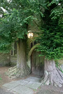Parish: Yew Trees - around Parish Church doorway
