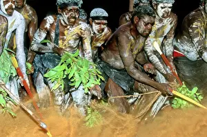 Aborigine: Yolngu Aboriginal People - Dancing at Garma festival