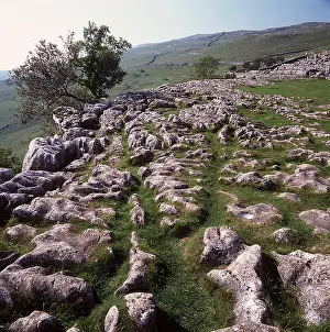 Malham: YORKSHIRE DALES - Limestone Pavement - Malham Cove