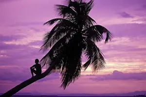 Greg: Young boy in palm tree at sunset, Ambergris