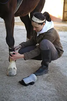 Leggings: The young cavalier adjusting gaiters