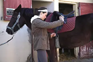 Saddles: Young cavalier adjusting the saddle of his horse