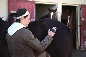Brushed: A young cavalier brushing her horse