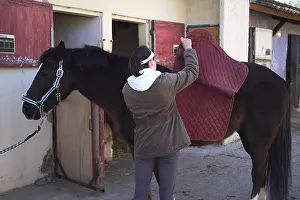 Stables: Young cavalier putting a carpet in his saddle horse