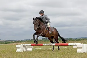Owners: Young girl on black horse jumping in gymkhana competition